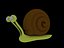 caracol