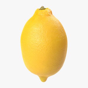 Lemon PBR Scan Retopo 3D