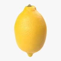Lemon PBR Scan Retopo