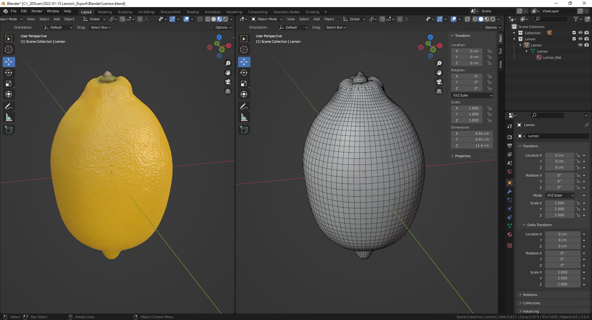 Lemon PBR Scan Retopo 3D - TurboSquid 1849374