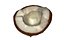 Half Coconut