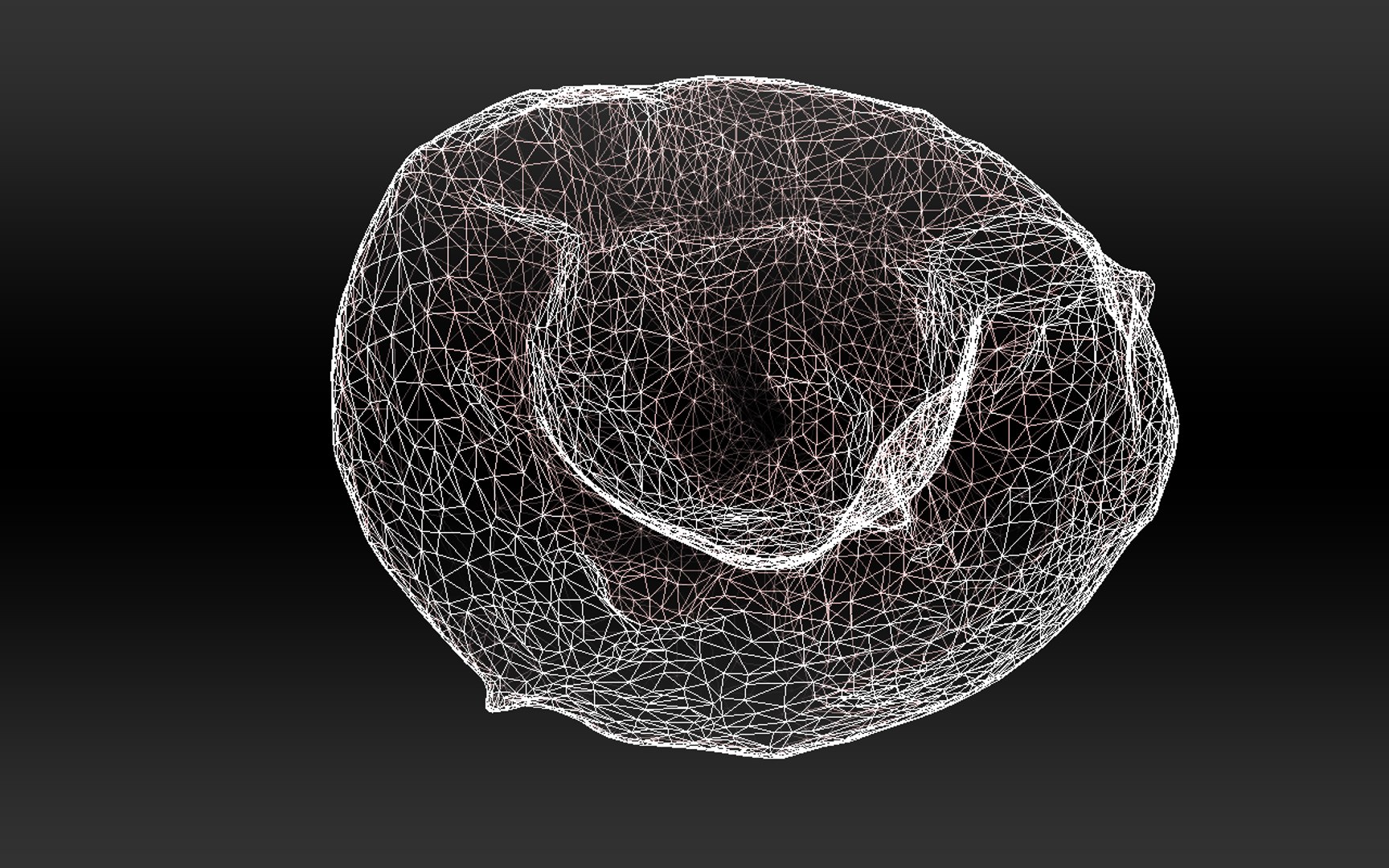 3D half coconut https://p.turbosquid.com/ts-thumb/V1/g4f5CU/LZlKATql/12/png/1602862858/1920x1080/fit_q87/a066529b1cc71615ee96befbabb3915c54ea07d9/12.jpg