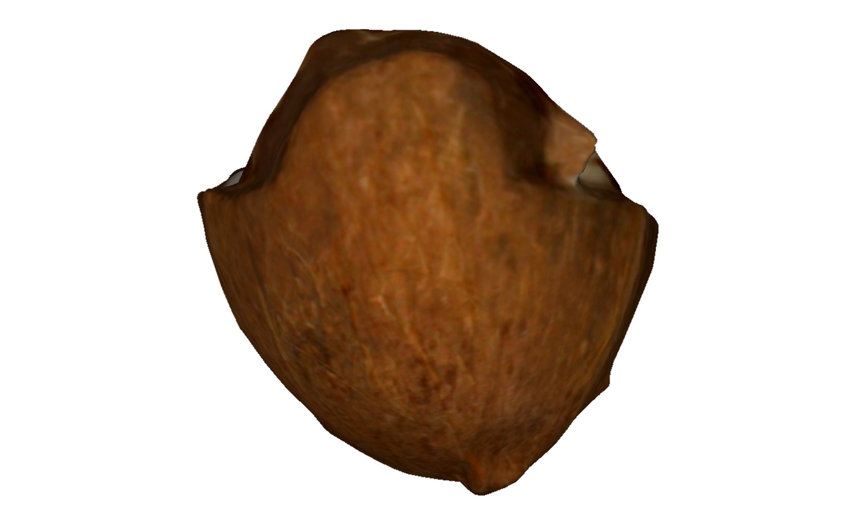 3D half coconut https://p.turbosquid.com/ts-thumb/V1/g4f5CU/OtnNVd3x/3/png/1602862858/1920x1080/fit_q87/d74581e5a341e9ef8c39be674f9757f15612c3a2/3.jpg