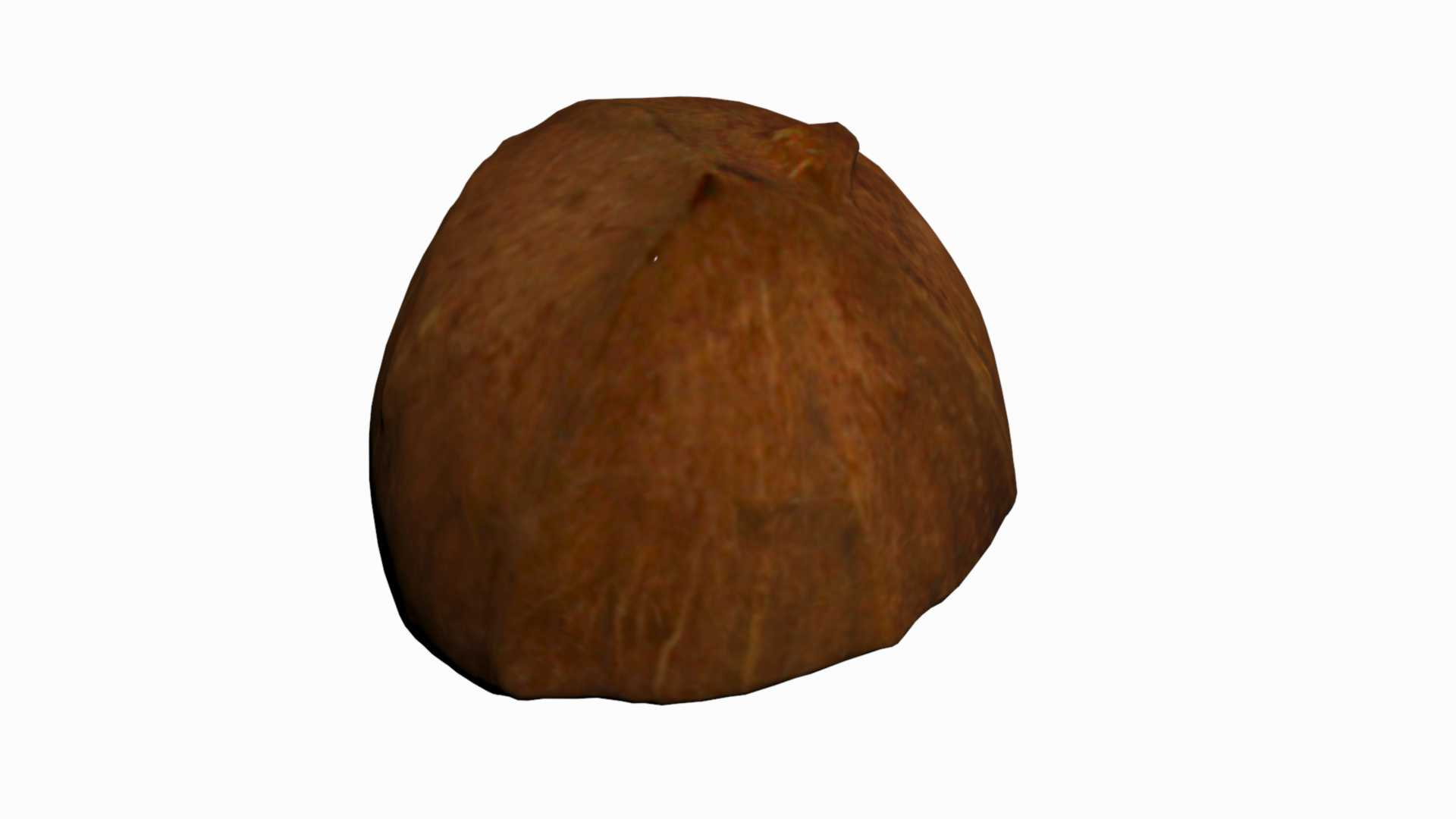 3D half coconut https://p.turbosquid.com/ts-thumb/V1/g4f5CU/uqwRnoK0/halfcoconut/jpg/1602862906/1920x1080/turn_fit_q99/64a3e87c1c0f012e31e239375531c3ec913c49fc/halfcoconut-1.jpg