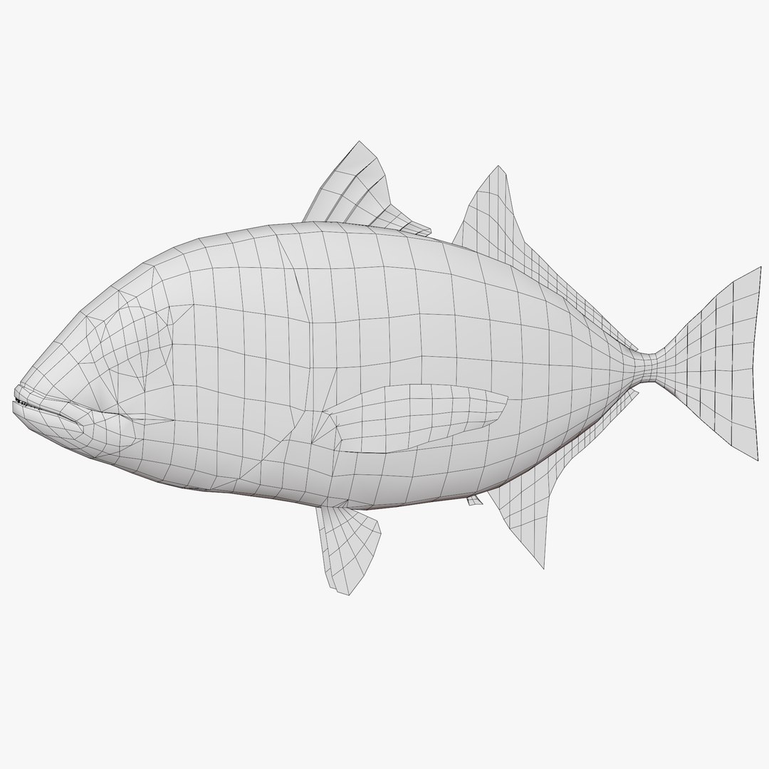 3D model Free Sample Fish 3D Model - MEA AQUA https://p.turbosquid.com/ts-thumb/V1/iQjqhl/ON/untitled13/jpg/1776815873/1920x1080/fit_q87/6ea46e20c9b59e58a65fd8e938f94c050ff0aaa2/untitled13.jpg