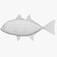 Bigeye Trevally - Nagaeba - Caranx sexfasciatus