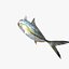 Bigeye Trevally - Nagaeba - Caranx sexfasciatus