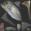 Bigeye Trevally - Nagaeba - Caranx sexfasciatus