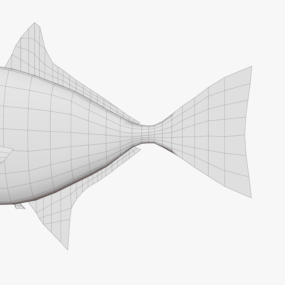 3D model Free Sample Fish 3D Model - MEA AQUA https://p.turbosquid.com/ts-thumb/V1/iQjqhl/oV/untitled14/jpg/1776815867/1920x1080/fit_q87/d5bd72776ae58e446fb8fb4dfe7fcf082419239b/untitled14.jpg