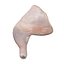 Uncooked Chicken