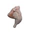 Uncooked Chicken
