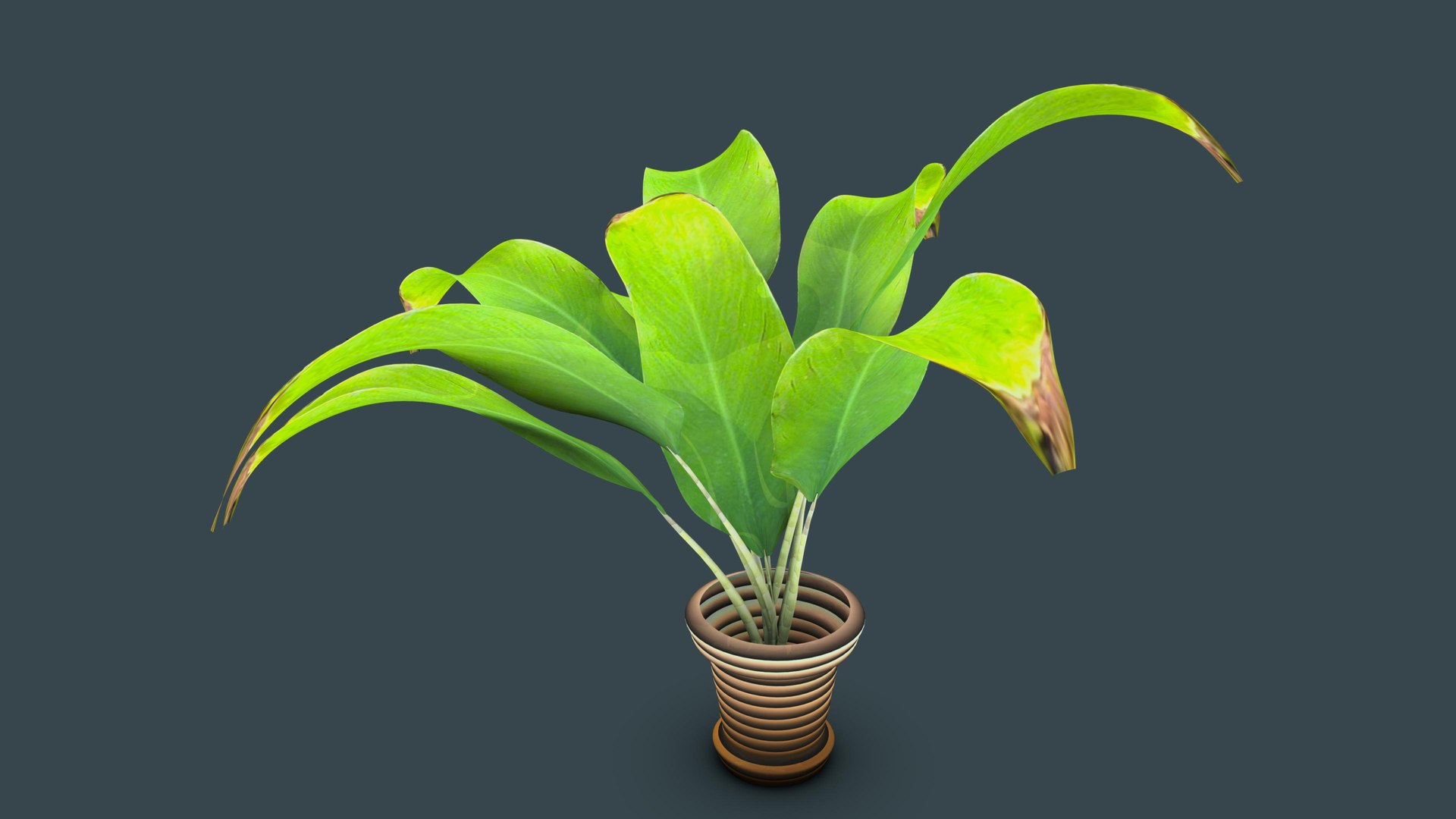 3D Hidden Lilies Plant Model - TurboSquid 1787932