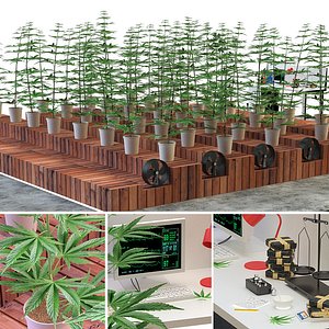 3D laboratory marijuana set