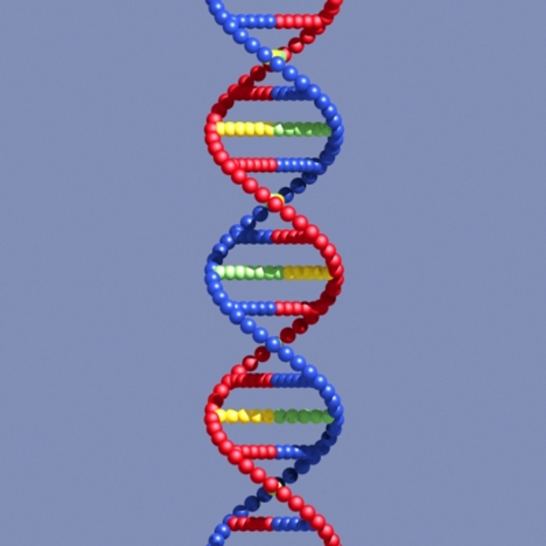 Dna Strands Max