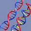 DNA