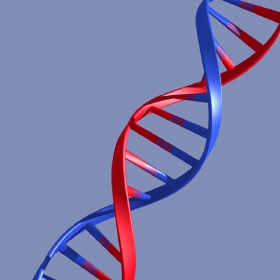 dna strands max https://p.turbosquid.com/ts-thumb/V2/1QYL82/zu7txlb7/dnag3/jpg/1142082745/1920x1080/fit_q87/f5d34482f7cc3580ebd23593b92a1fe033270003/dnag3.jpg