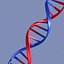 DNA