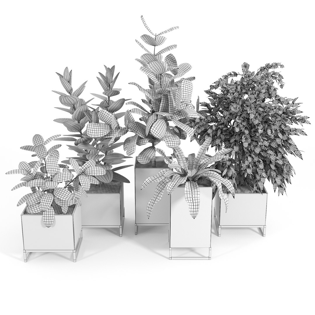 Pot Model - TurboSquid 1653492