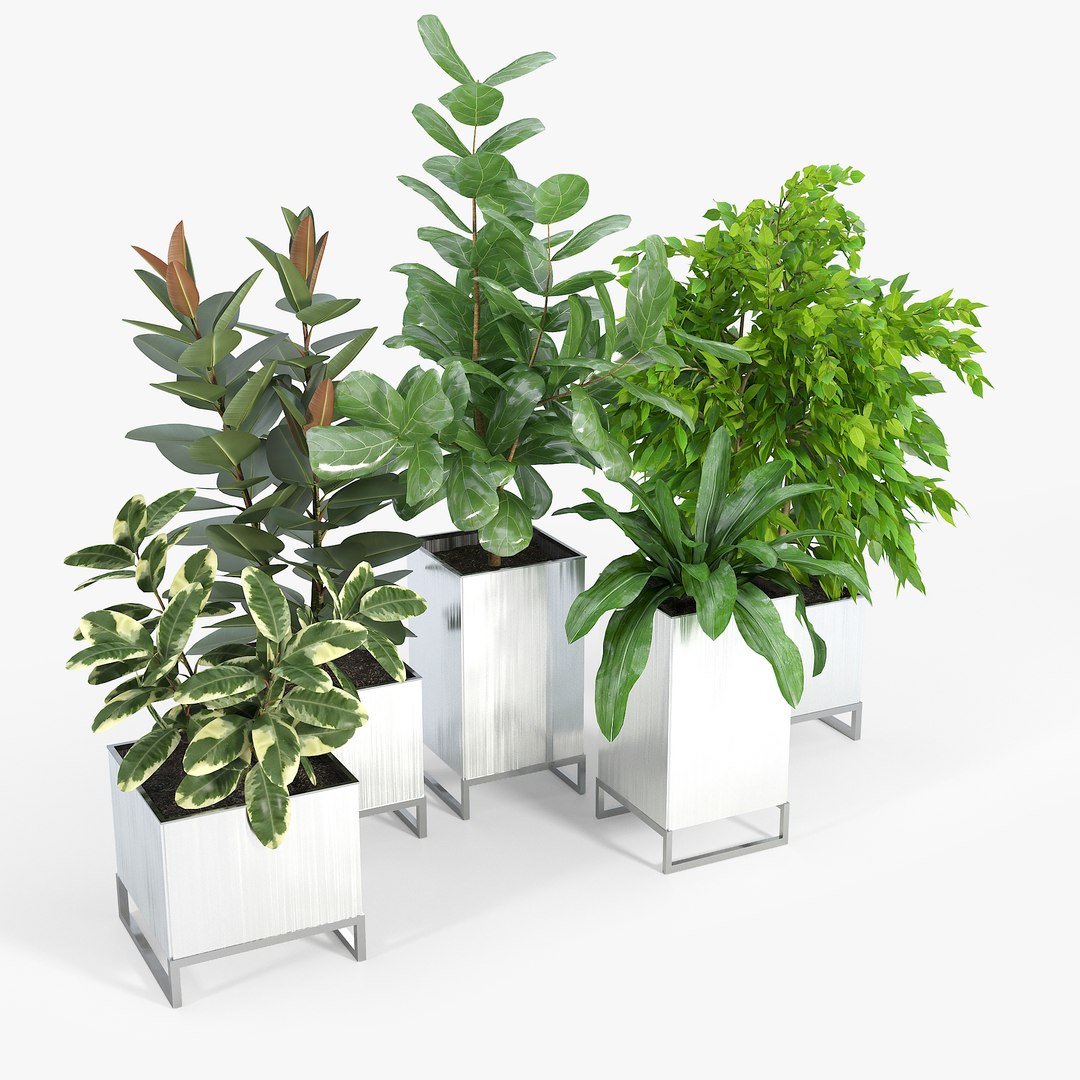 Pot Model - TurboSquid 1653492