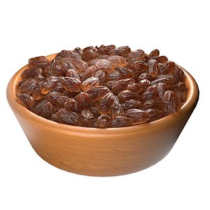 Orange raisins bowl 3D