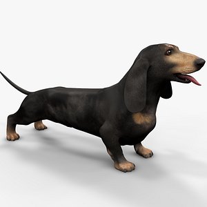 3D Dachshund Rigged L1861