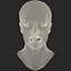 Zombie Head 2