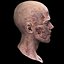 Zombie Head 2