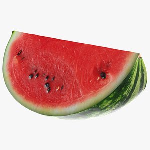 Watermelon Slice