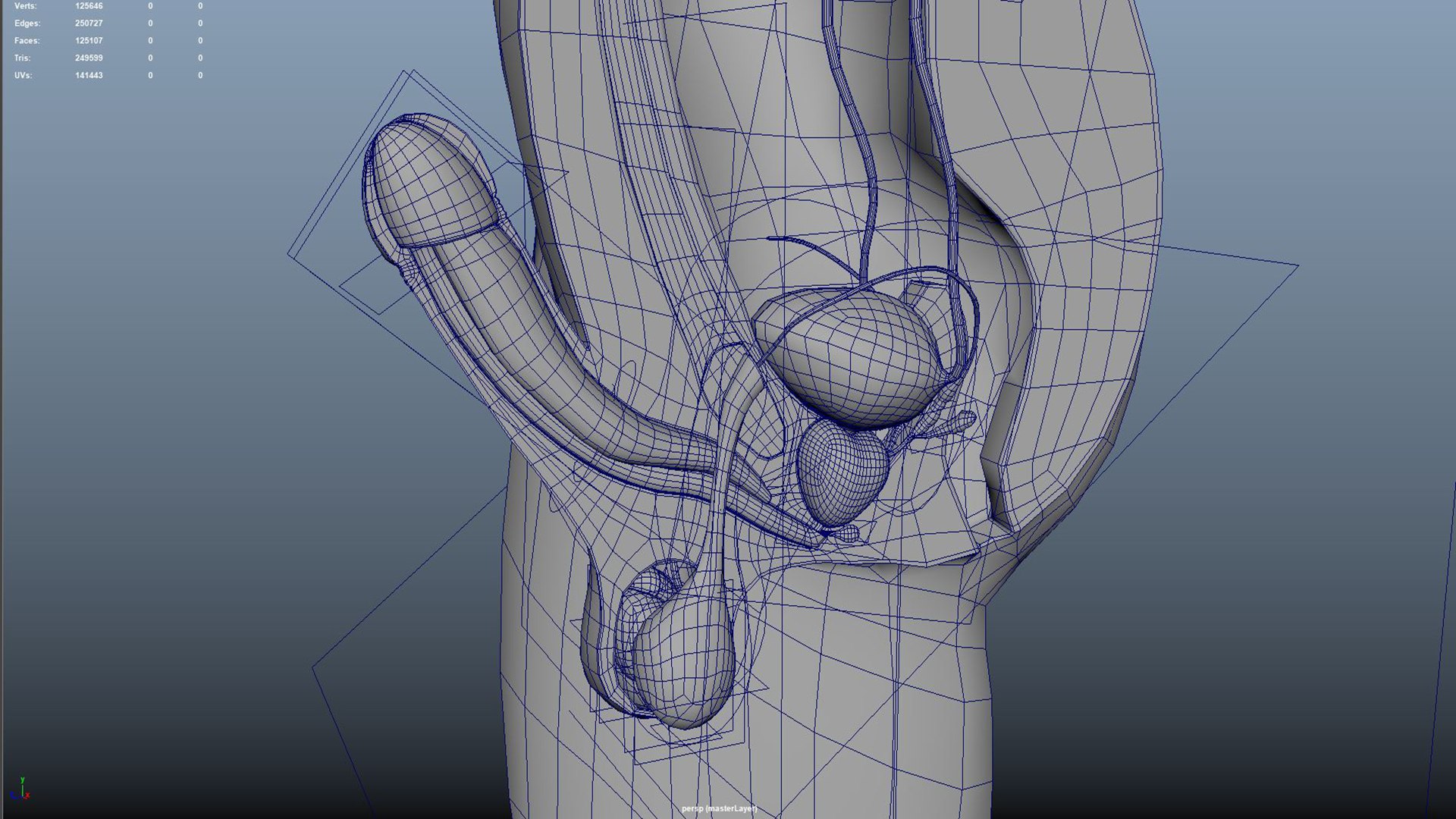Male reproductive system 3D https://p.turbosquid.com/ts-thumb/V2/e8gsAj/wA/m0220_mrs04/jpg/1733465935/1920x1080/fit_q87/d518882d5dd53e47cd8442f458fec9ca94b9049f/m0220_mrs04.jpg