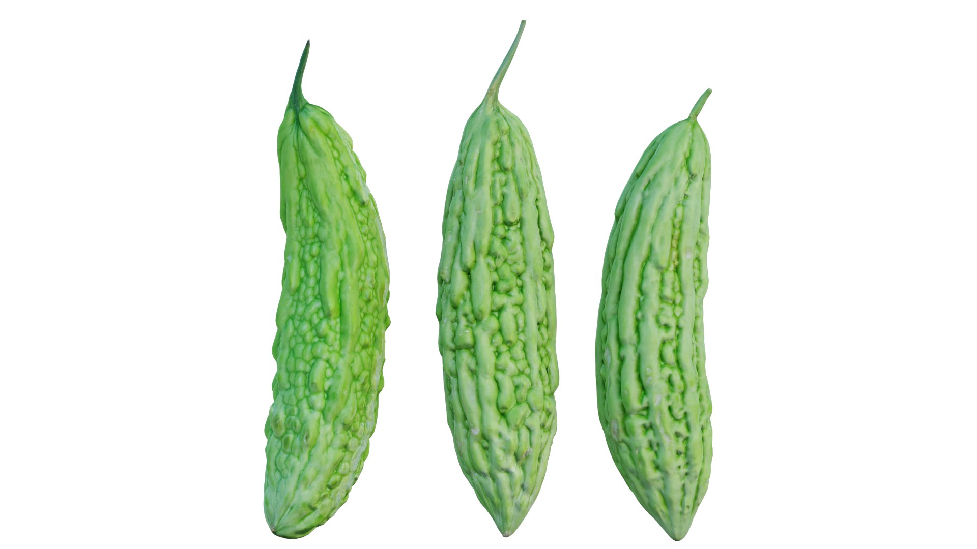Bitter melon model https://p.turbosquid.com/ts-thumb/V2/gEkZ0M/GA/1_interactivelightmix/png/1652817186/1920x1080/fit_q87/b70173f927aadf750eb5ebaa569e974f1736fa4e/1_interactivelightmix.jpg