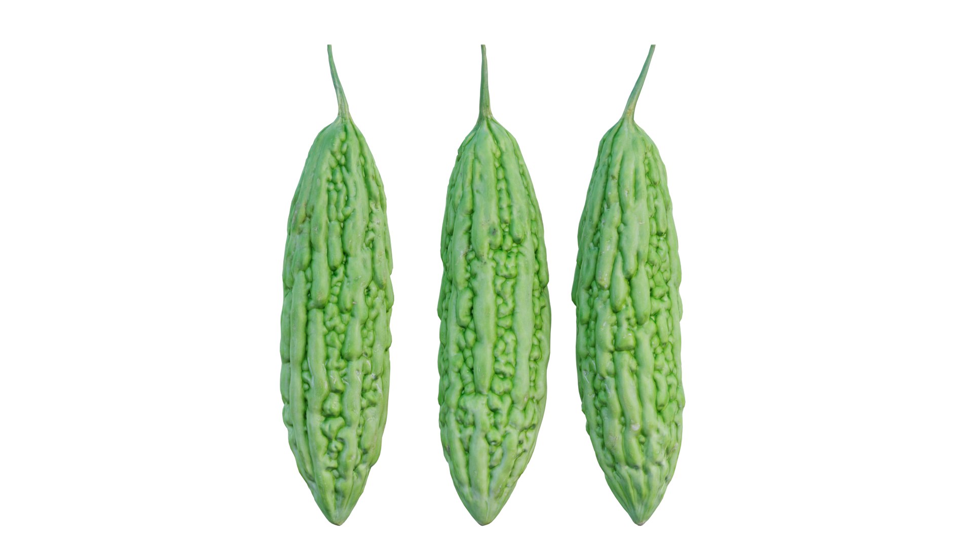 Bitter melon model https://p.turbosquid.com/ts-thumb/V2/gEkZ0M/R5/4_interactivelightmix/png/1652817187/1920x1080/fit_q87/fff9c91811857b030556785258e45f6056a213b3/4_interactivelightmix.jpg