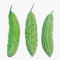Bitter melon