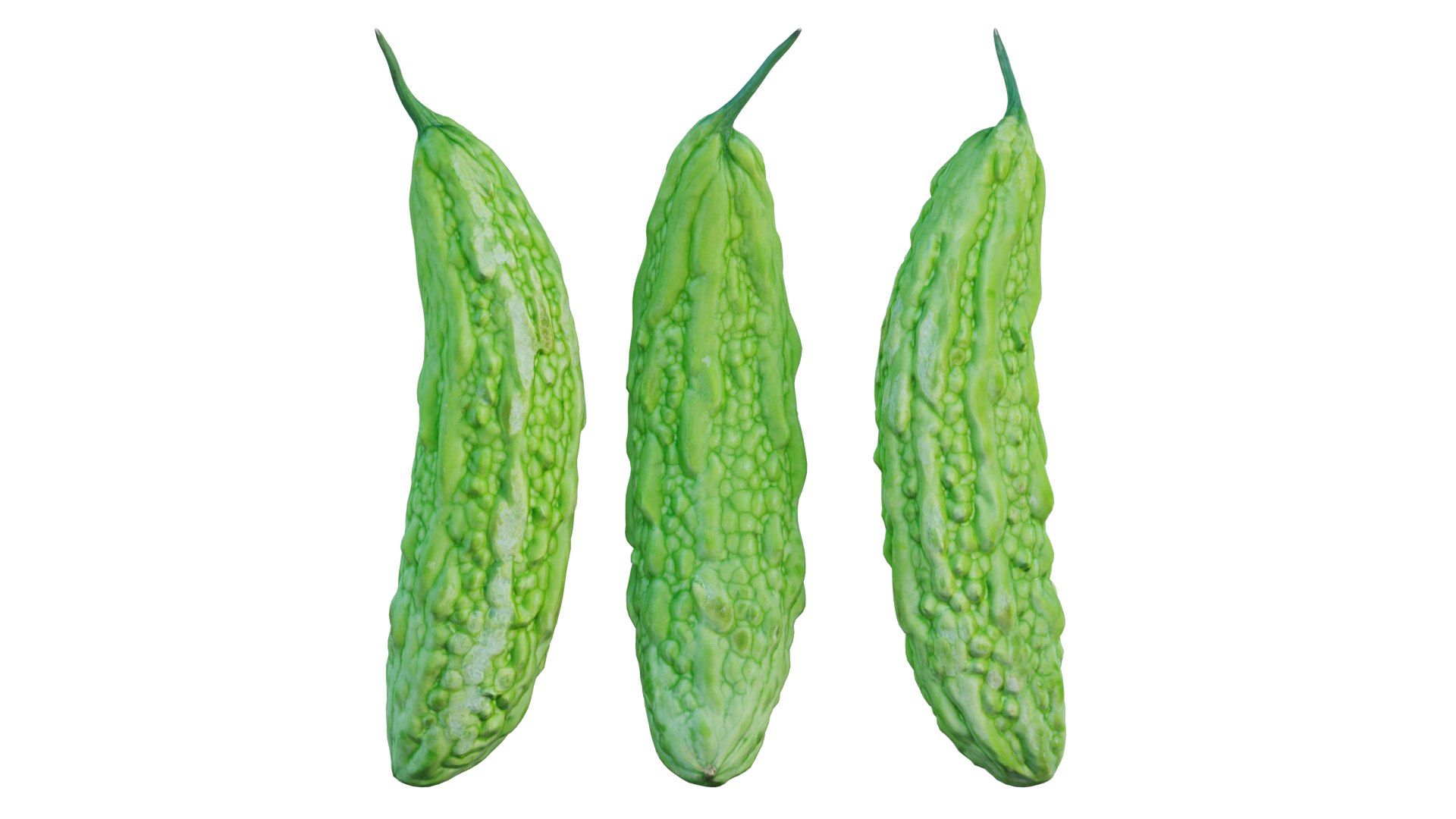 Bitter melon model https://p.turbosquid.com/ts-thumb/V2/gEkZ0M/fP/3_interactivelightmix/png/1652817186/1920x1080/fit_q87/bbbca07bf82fea7d01d31e41bcc09eff4dd968f4/3_interactivelightmix.jpg