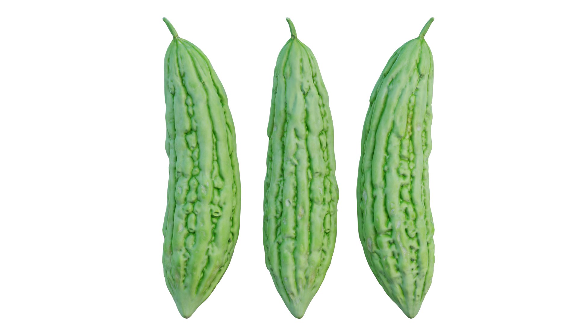 Bitter melon model https://p.turbosquid.com/ts-thumb/V2/gEkZ0M/mk/5_interactivelightmix/png/1652817187/1920x1080/fit_q87/d4b413cd642ccdfa9637a5d859eb6e987c8b878d/5_interactivelightmix.jpg