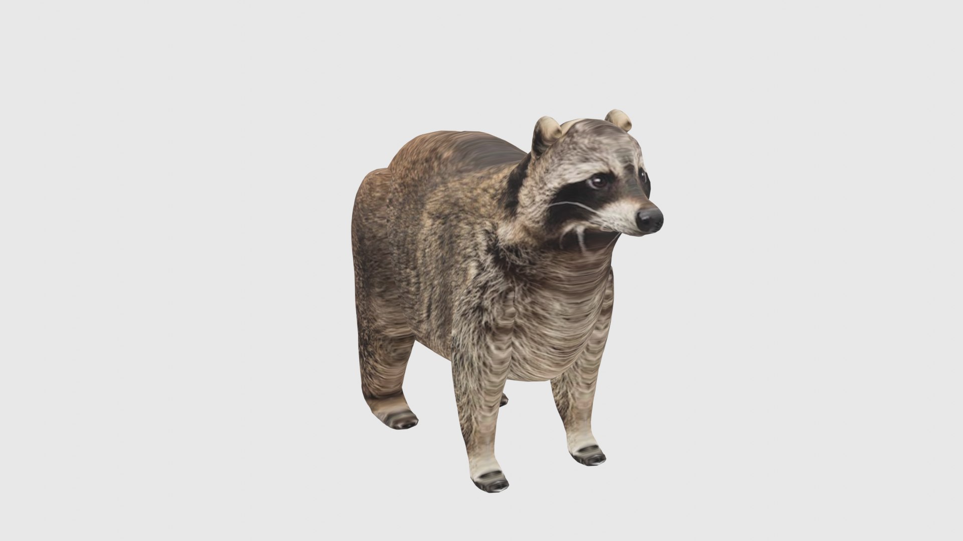 Low Poly Raccoon Rigged With Realistic Texture 3D Model - TurboSquid ...