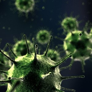 Microbes