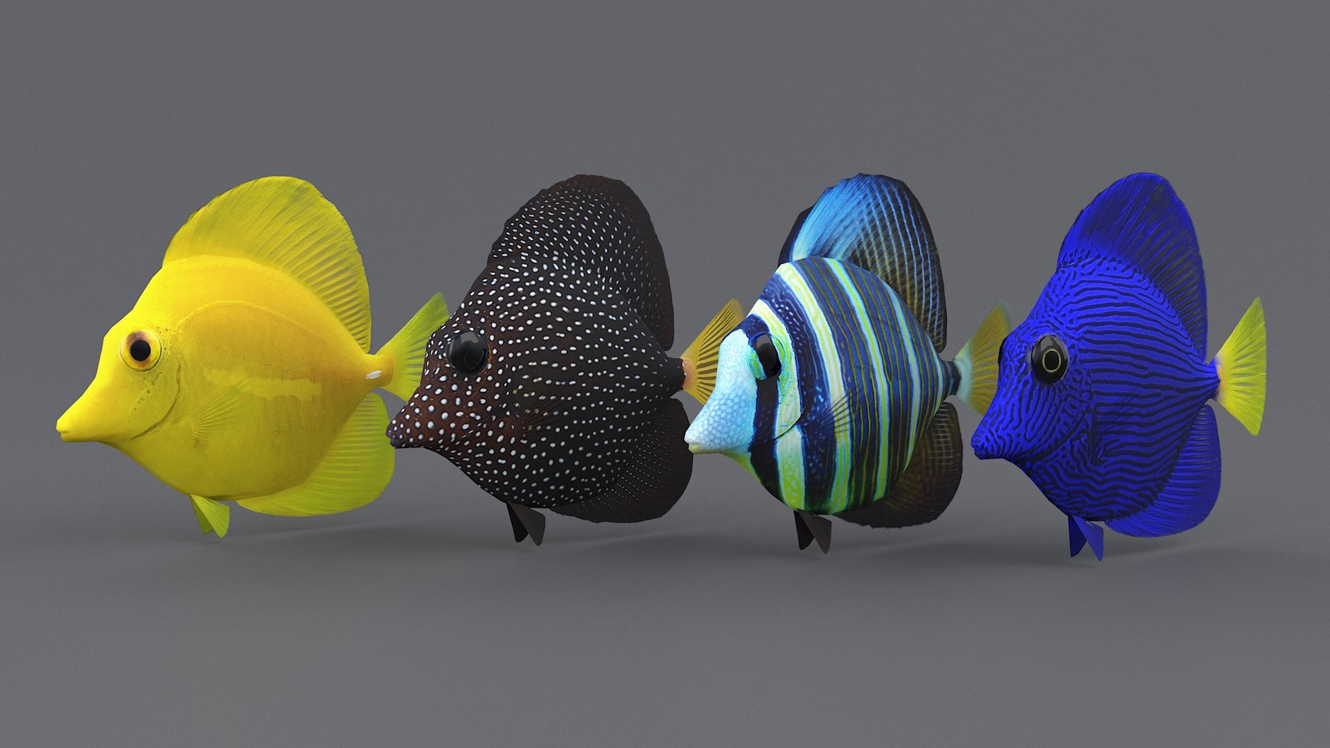 3D zebrasoma coral reef fish https://p.turbosquid.com/ts-thumb/V3/7mGk4O/Srq01Hwx/zebrasoma_18/jpg/1578652608/1920x1080/fit_q87/19645b4d3a61d07a6b37b9c79fed4c41aa484cc4/zebrasoma_18.jpg