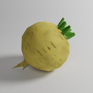 Turnip 3D model