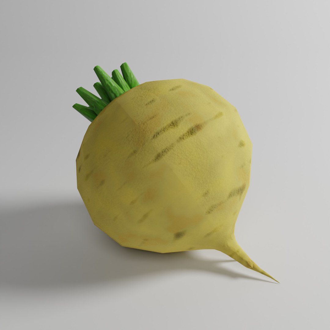 Turnip 3D Model - TurboSquid 1832607