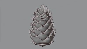 Cone 3D