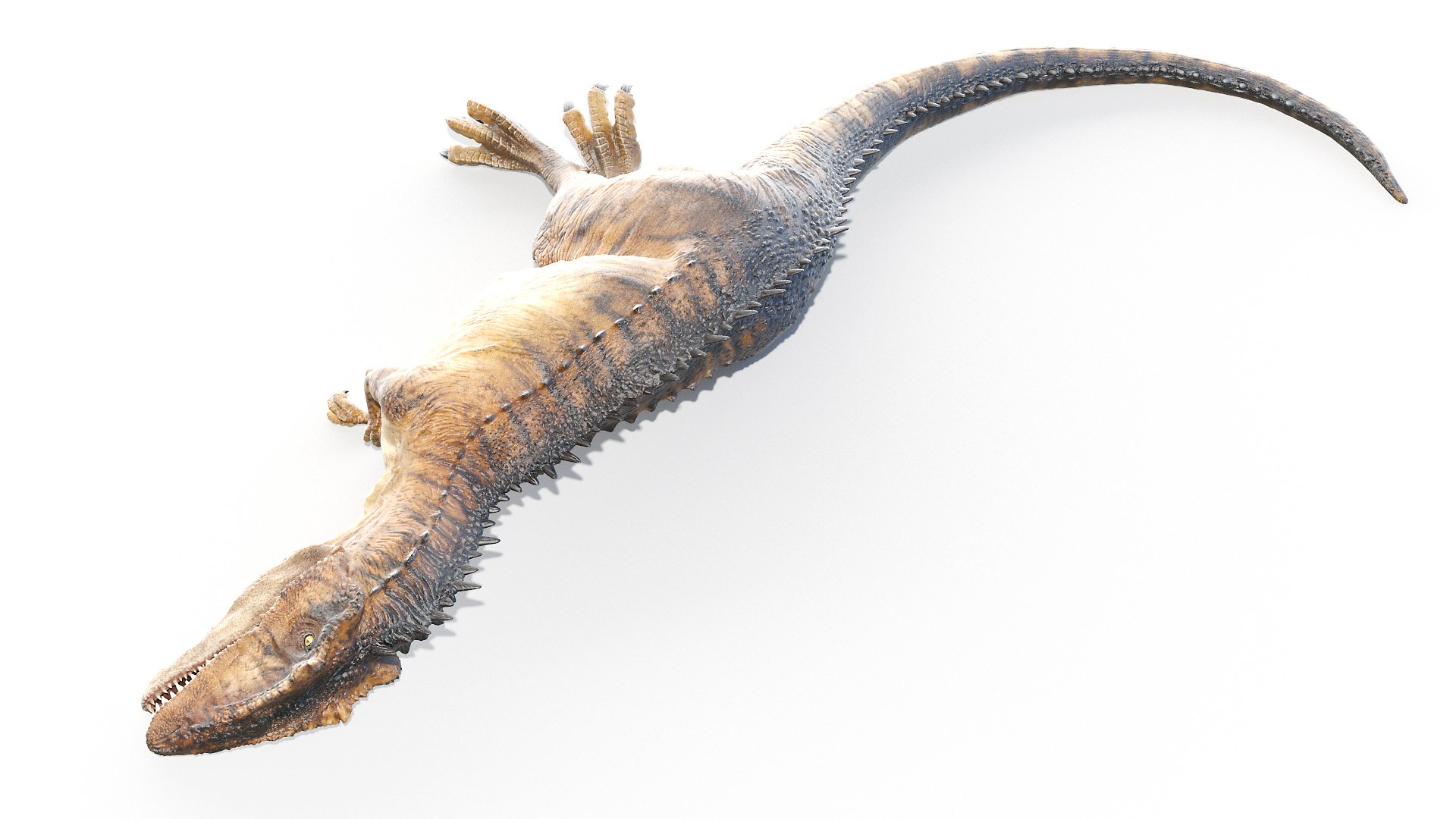 carcharodontosaurus carcharodon 3D https://p.turbosquid.com/ts-thumb/V3/VO6tTB/4xHojVHB/carcharodontosaurus_poses0086/jpg/1603204137/1920x1080/fit_q87/ff9c3826b90a3e16de5c6b43de6df07ac03323dc/carcharodontosaurus_poses0086.jpg