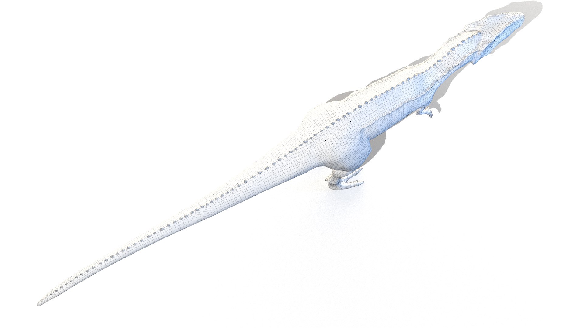 carcharodontosaurus carcharodon 3D https://p.turbosquid.com/ts-thumb/V3/VO6tTB/M7T0SgJl/carcharodontosaurus_wire0004/jpg/1603204313/1920x1080/fit_q87/b8028864c1fff99ab570640ade96c9e020155c27/carcharodontosaurus_wire0004.jpg