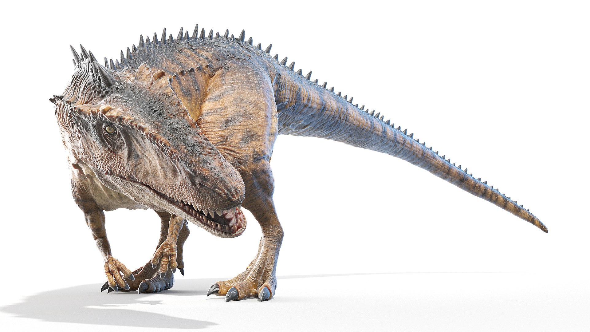 carcharodontosaurus carcharodon 3D https://p.turbosquid.com/ts-thumb/V3/VO6tTB/YFGdnbxC/carcharodontosaurus_poses0084/jpg/1603204137/1920x1080/fit_q87/633fe2332284eb03e41db6f9478c340035e9727b/carcharodontosaurus_poses0084.jpg
