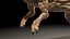Carcharodontosaurus animiert