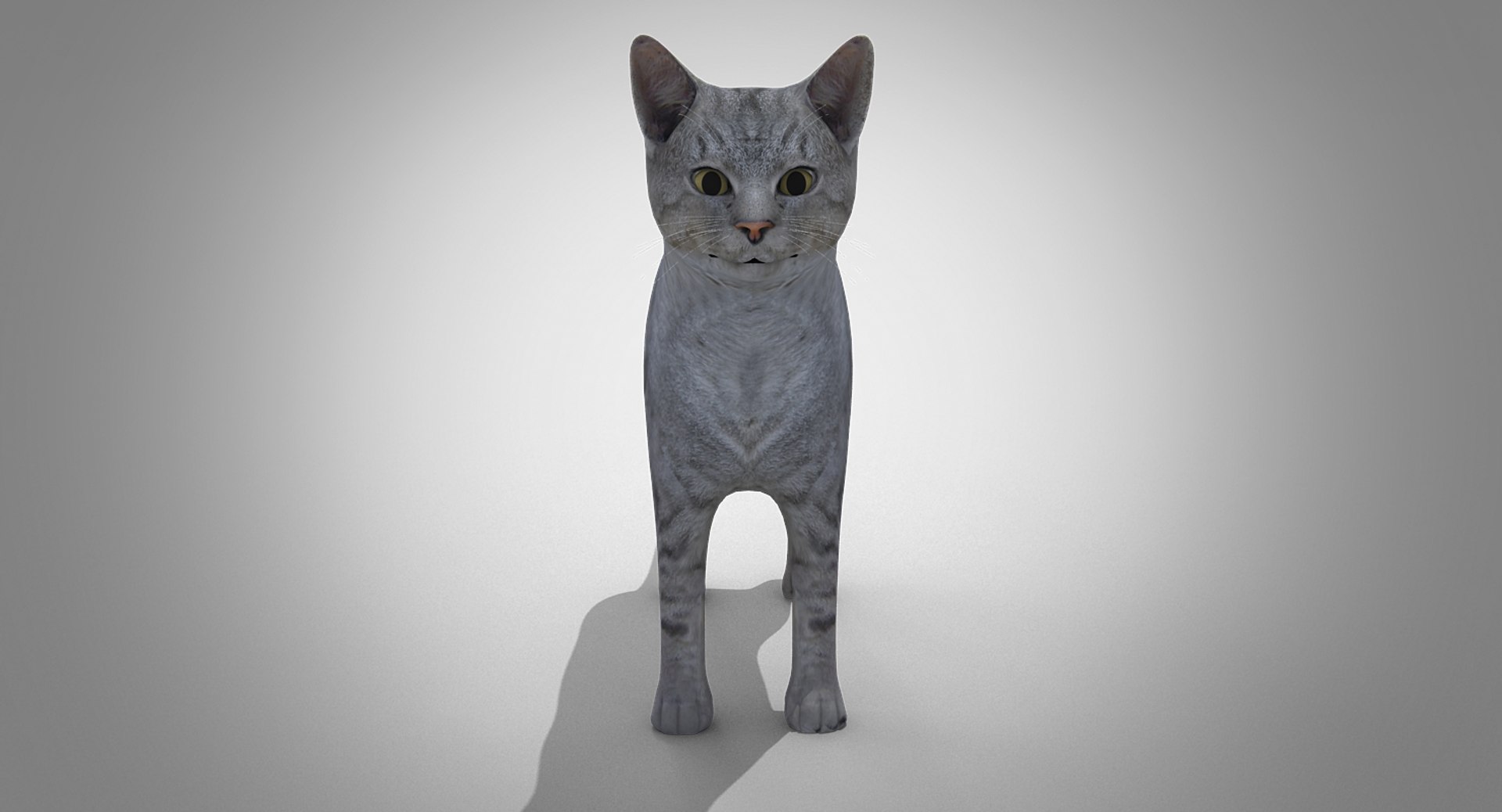 domestic cat max https://p.turbosquid.com/ts-thumb/V3/XPVc3r/BSRXu6B8/cat0101/jpg/1478204712/1920x1080/fit_q87/c1c0a6e1fa7252251e42e98b6671ad1c2a6f670b/cat0101.jpg