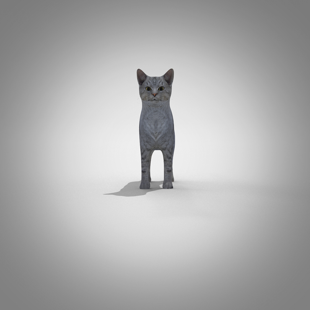 domestic cat max https://p.turbosquid.com/ts-thumb/V3/XPVc3r/NnYi5YVb/cat01turntable/jpg/1478201246/1920x1080/turn_fit_q99/7e8ae4bf2057421ddf6b6e568bbf3e9bfe5a5413/cat01turntable-1.jpg