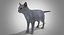 Mix Breed Domestic Gray Cat