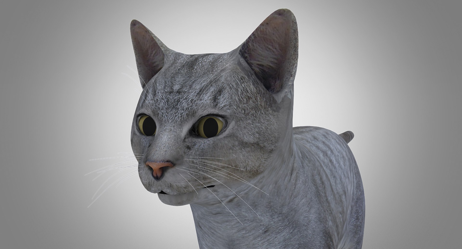 domestic cat max https://p.turbosquid.com/ts-thumb/V3/XPVc3r/aAAVUwMr/cat0105/jpg/1478204712/1920x1080/fit_q87/0c65571ce2d0e4e3184c2b50392e6ce1a68a4714/cat0105.jpg