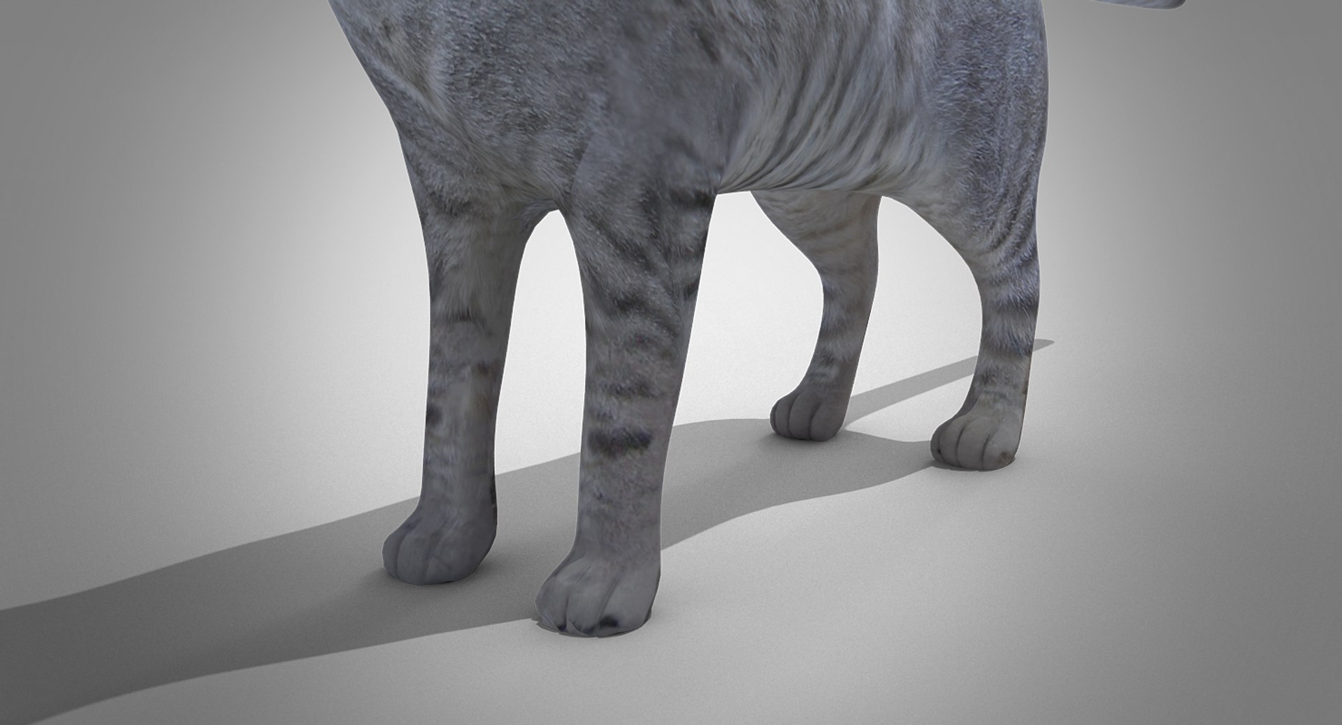 domestic cat max https://p.turbosquid.com/ts-thumb/V3/XPVc3r/aeaRR4vO/cat0106/jpg/1478204712/1920x1080/fit_q87/dd619aae98330cc2e36f5f1fe1a51e13a20afb12/cat0106.jpg