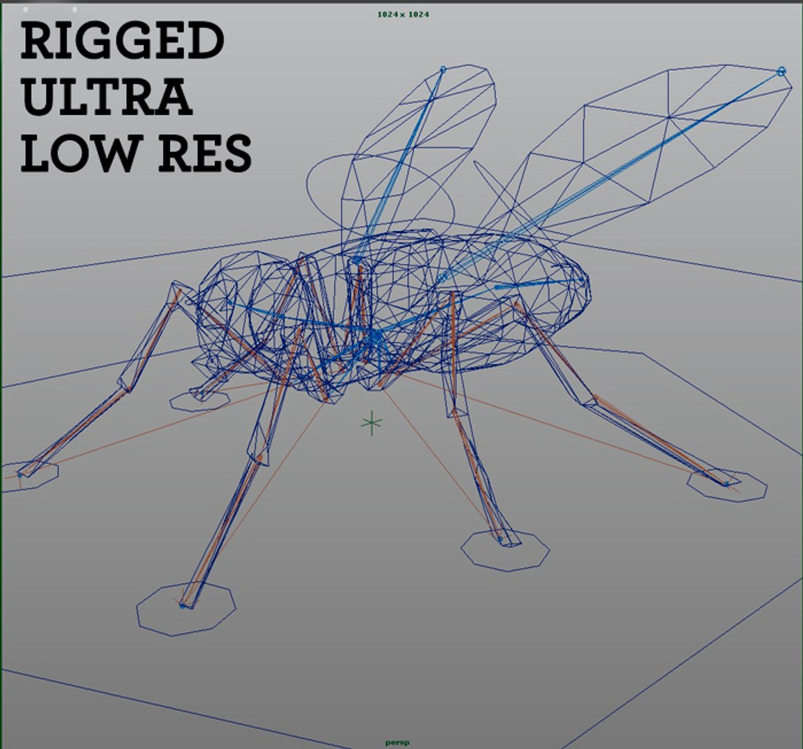 house fly obj https://p.turbosquid.com/ts-thumb/V3/dAL40H/OSAESQWs/rigged_wires/jpg/1302458100/1920x1080/fit_q87/f27e1ec022e9950af8065c7d8025133fd428194a/rigged_wires.jpg